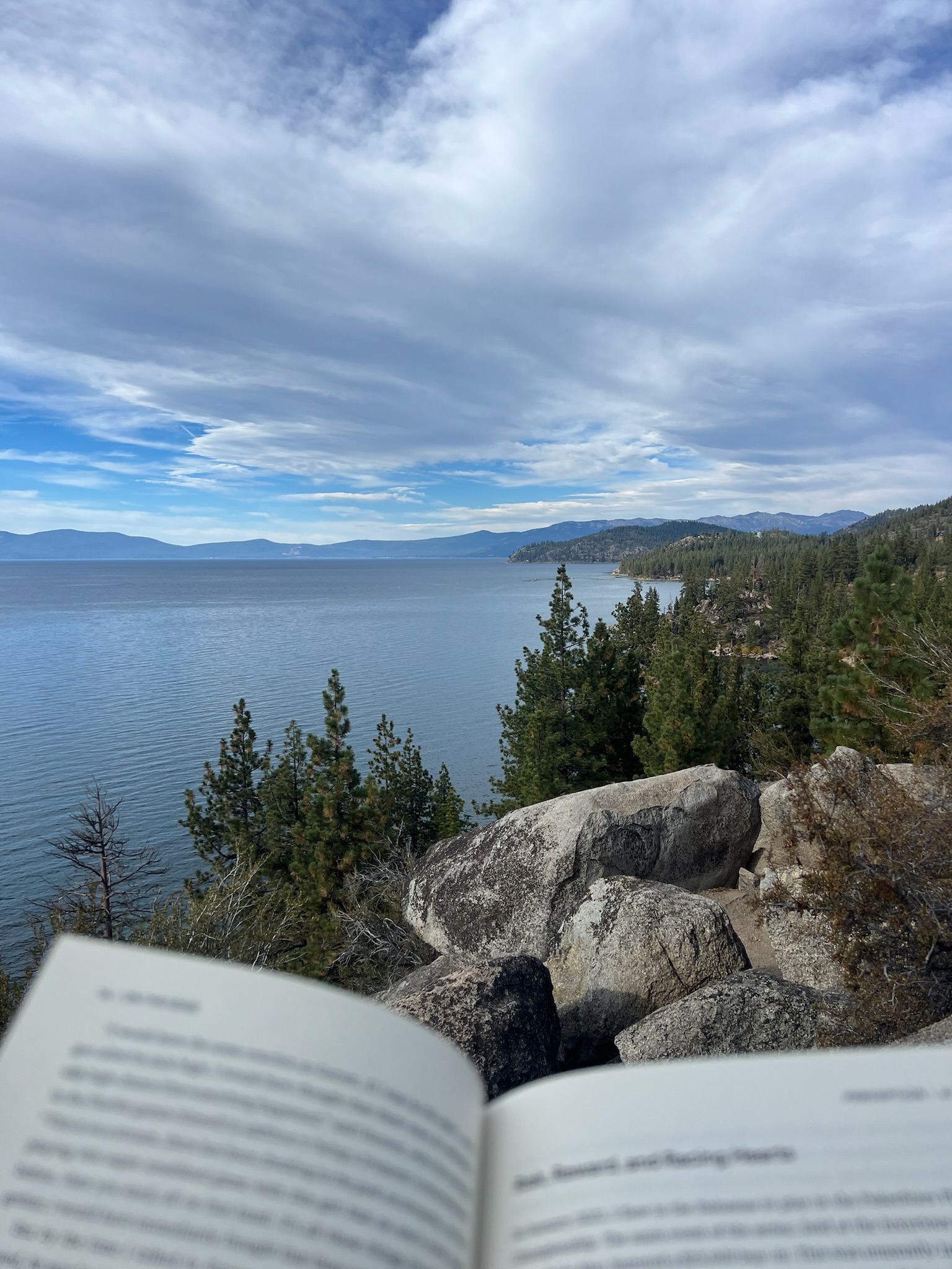 Miami downtown skyline